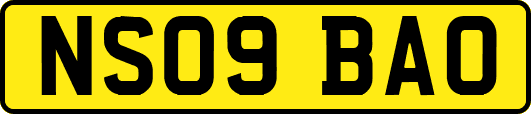 NS09BAO