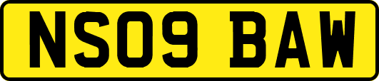NS09BAW