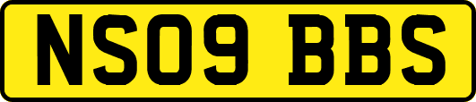 NS09BBS
