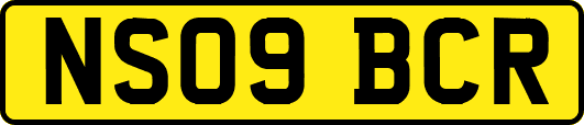 NS09BCR