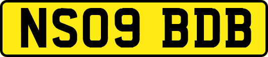 NS09BDB