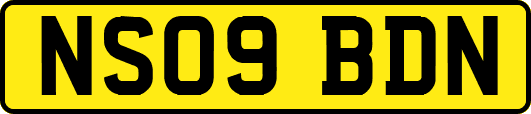 NS09BDN