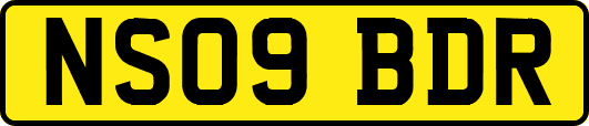NS09BDR