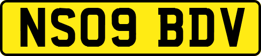 NS09BDV
