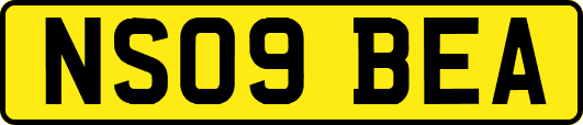 NS09BEA