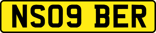 NS09BER