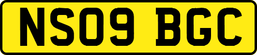 NS09BGC