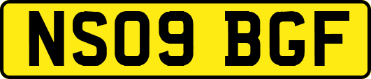 NS09BGF