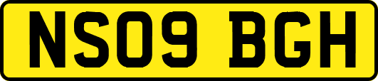 NS09BGH