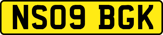 NS09BGK