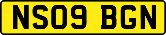 NS09BGN