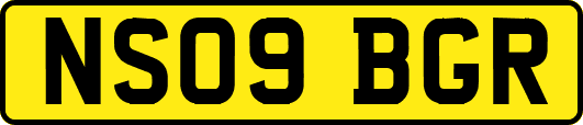 NS09BGR