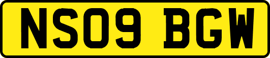 NS09BGW
