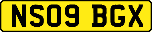 NS09BGX