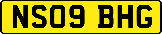 NS09BHG