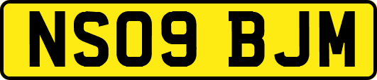 NS09BJM