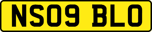 NS09BLO