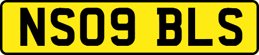 NS09BLS