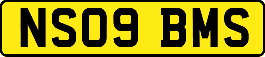 NS09BMS