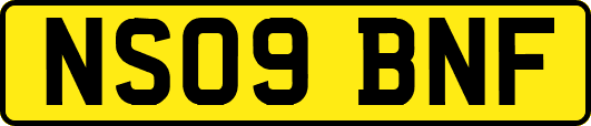 NS09BNF