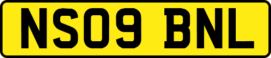 NS09BNL