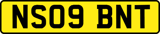 NS09BNT