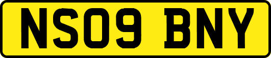 NS09BNY