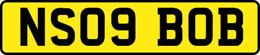 NS09BOB
