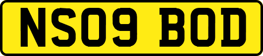 NS09BOD