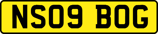 NS09BOG
