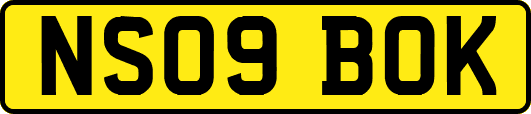NS09BOK