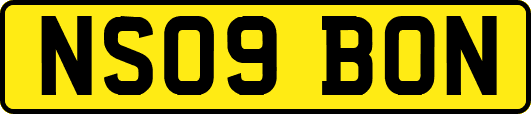 NS09BON