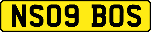 NS09BOS