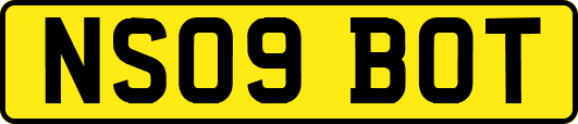 NS09BOT