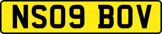 NS09BOV
