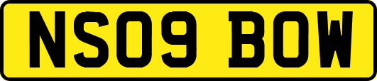 NS09BOW