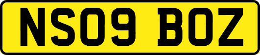 NS09BOZ