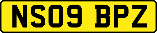 NS09BPZ