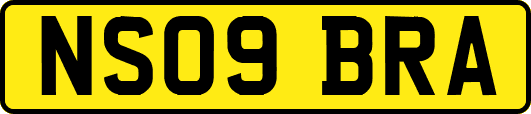 NS09BRA
