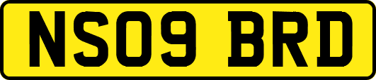 NS09BRD
