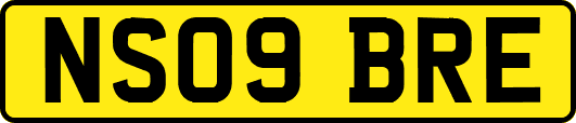 NS09BRE