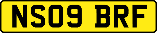 NS09BRF