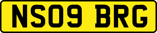 NS09BRG