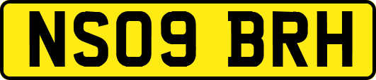 NS09BRH