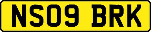 NS09BRK