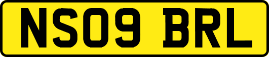 NS09BRL