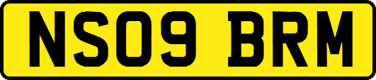 NS09BRM
