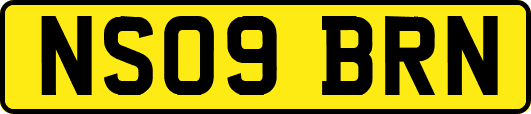 NS09BRN