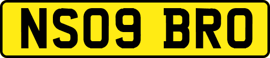 NS09BRO