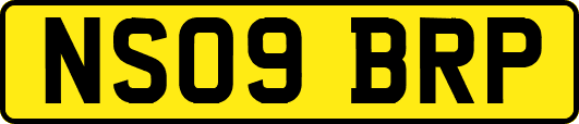 NS09BRP